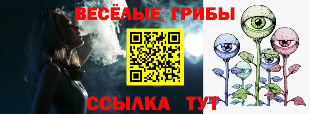 Галлюциногенные грибы прущие грибы  Вход с VPN  Нарткала 