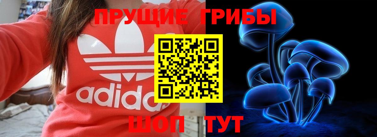 Псилоцибиновые грибы прущие грибы Нарткала